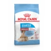 Royal Canin Medium Starter Mother And Babydog 4 Kg -Blije Pootjes 3182550778725 1