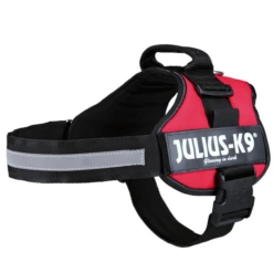 Julius K9 Julius-K9 Powertuig 2 - L/XL - Rood