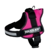 Julius K9 Power-harnas Voor Hond / Tuig Voor Voor Labels Fuchsia Maat 0/58-76 Cm -Blije Pootjes 5999053663094 1