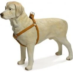 Beeztees Hondentuig Mac Leather 66-100cm Bruin -Blije Pootjes hondentuig mac leather 66 100cm bruin 8712695086697 1 0 300x300 1