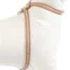 Rosewood Luxury Leather Tuig Voor Hond Puppy -Blije Pootjes image 100
