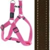 Rogz For Dogs Fanbelt Step-in Hondentuig Verstelbaar Bruin 76 X 2 Cm -Blije Pootjes image 101