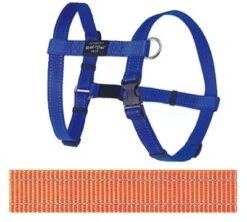 Rogz For Dogs Fanbelt Hondentuig Verstelbaar Oranje 75 X 2 Cm