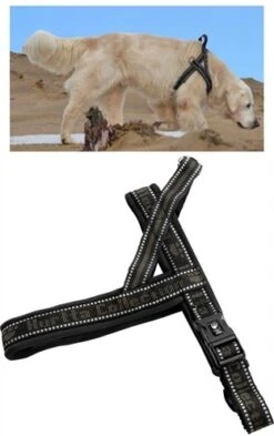 Hurtta Padded Harness 80 Cm Voor De Hond Zwart - Groen