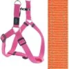 Rogz For Dogs Fanbelt Step-in Hondentuig Verstelbaar Oranje 76 X 2 Cm -Blije Pootjes image 85