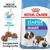 Royal Canin Giant Starter Mother And Babydog Hondenvoer 15 Kg