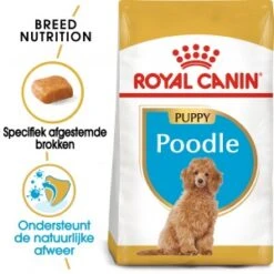 Royal Canin Poodle 33 Junior Hondenvoer 3 Kg 6 Royal Canin Poodle 33 Junior Hondenvoer 3 Kg -Blije Pootjes royal canin poodle 33 junior hondenvoer