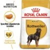 Royal Canin Adult Rottweiler Hondenvoer 3 Kg -Blije Pootjes royal canin rottweiler 26 adult