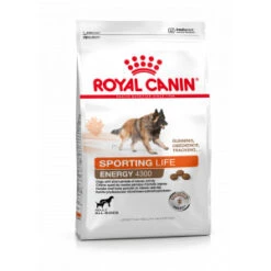 Royal Canin Sporting Life Trail 4300 Hondenvoer 15 Kg