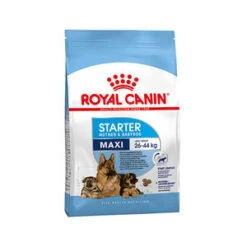 Royal Canin Maxi Starter Mother And Babydog 15 Kg -Blije Pootjes royal canin maxi starter mother babydog 15 kg 67814 0300 none
